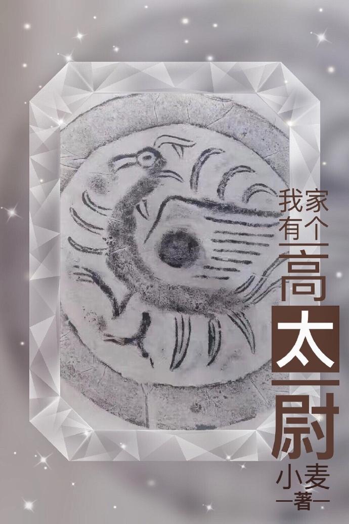 我家有个高太尉封面