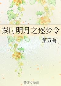 逐梦令封面