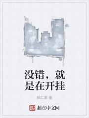 我的无限个系统封面