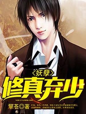 修真弃少叶辰封面