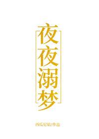 夜夜溺梦封面