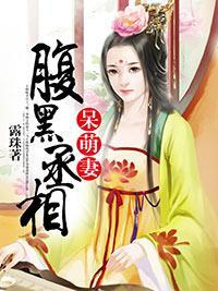 腹黑丞相呆萌妻封面