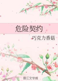 危险契约封面