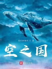 空之国封面