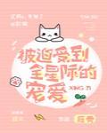 被迫受到全星际的宠爱封面