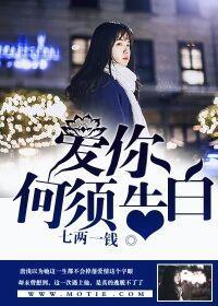 爱你,何须告白封面