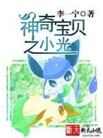 神奇宝贝之小光封面