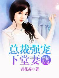 婚情告急：总裁强宠下堂妻封面
