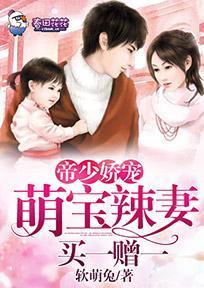 帝少娇宠，萌宝辣妻买一赠一封面