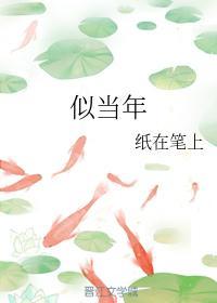 似当年封面