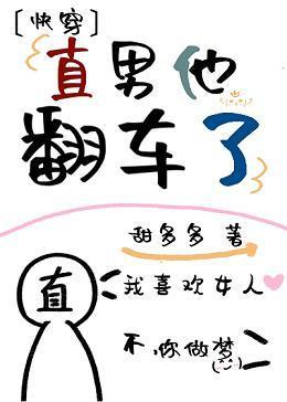 直男他翻车了(快穿)封面