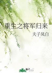 重生之将军归来封面