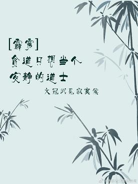 [霹雳]贫道只想当个安静的道士封面