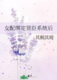 女配绑定贤臣系统后封面