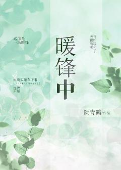 暖锋中封面