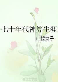 七十年代神算生涯封面