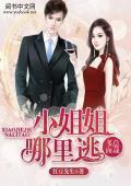 多面总裁：小姐姐哪里逃封面