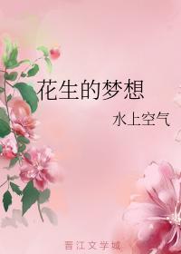花生的梦想封面