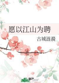 愿以江山为聘封面