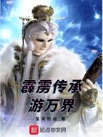 霹雳传承游万界封面