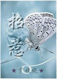 招惹封面