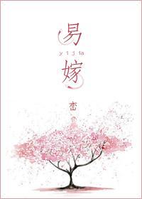 易嫁封面