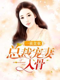 一夜贪欢：总裁宠妻入骨封面