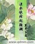 渌水依荷起微澜封面
