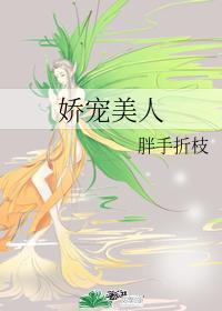 娇宠美人封面