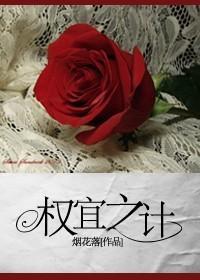 权宜之计封面