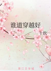 谁道穿越好封面