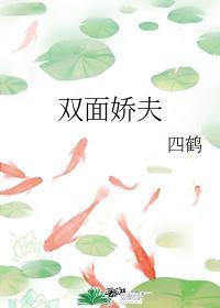 双面娇夫封面