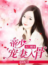 名门婚宠:帝少宠妻入骨封面