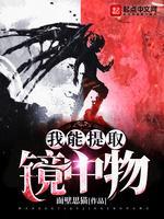 我能提取镜中物封面
