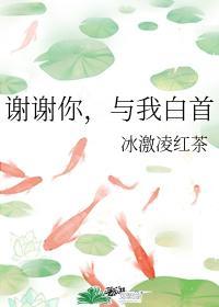 谢谢你,与我白首封面