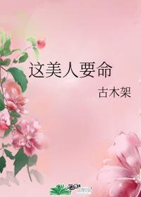 这美人要命封面