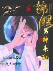 锦鲤男神来配音封面