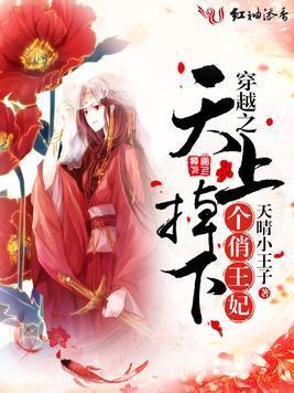 穿越之天上掉下个俏王妃封面