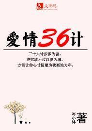 爱情三十六计封面