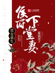 宋清辞洛衡虑封面