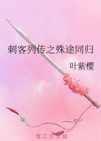 刺客列传之殊途同归封面