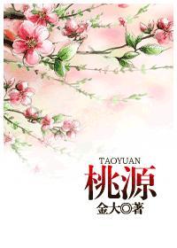 桃源封面