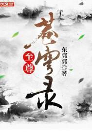 至尊苍穹录封面