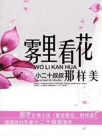 雾里看花，那样美封面
