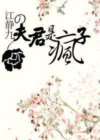 夫君是疯子封面