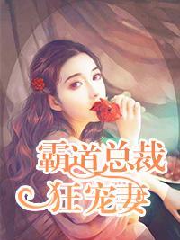 霸道总裁狂宠妻封面