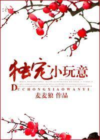 独宠小玩意封面