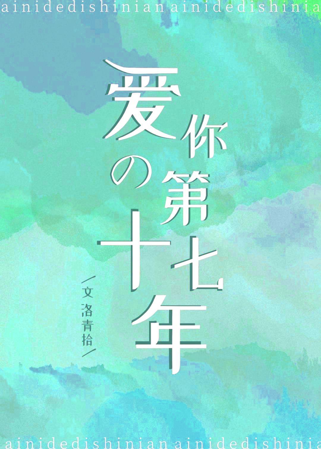 爱你的第十七年封面
