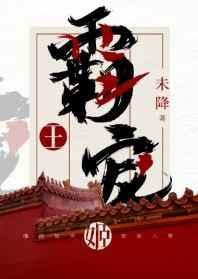 霸王宠姬封面