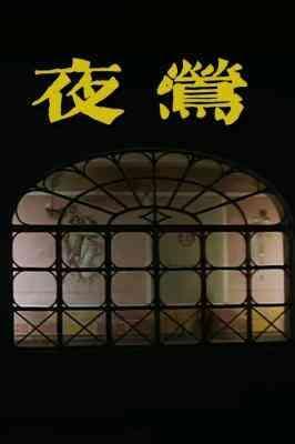 夜莺封面